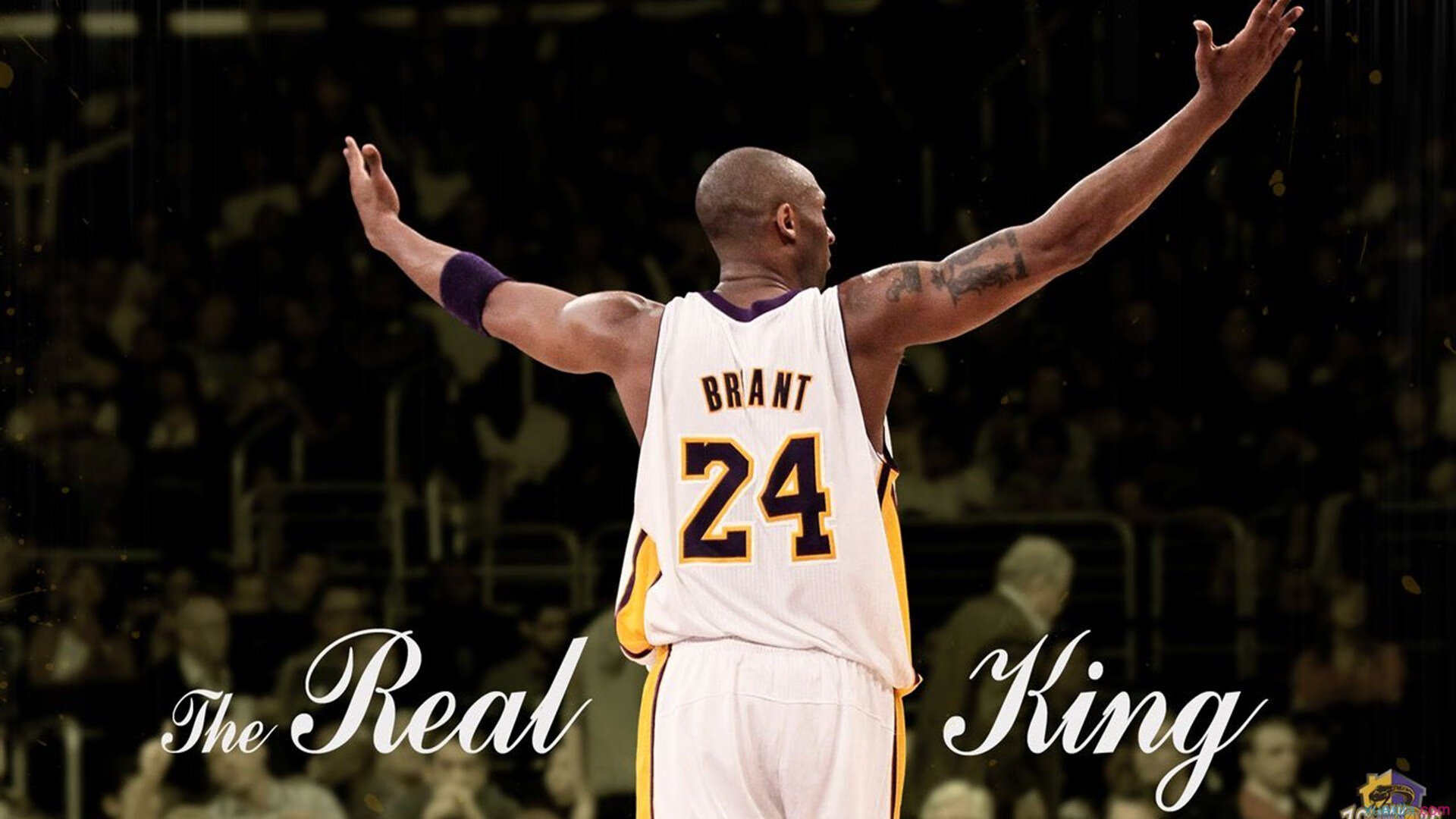 学生运动会精彩瞬间