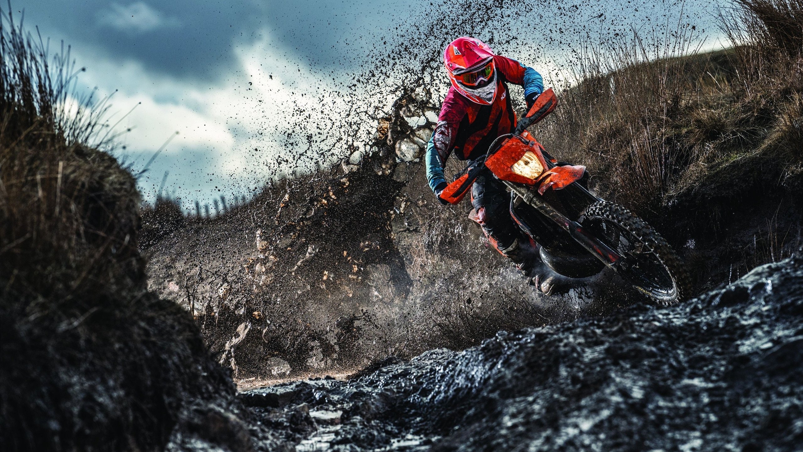 英雄联盟全球总决赛 在首尔落幕 主场战队高举冠军奖杯